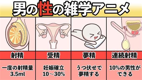 セックスでの色々な射精方法を画像で解説！気持ち良く精液を発。